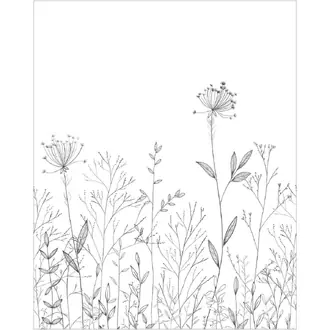 Field Line 107220905