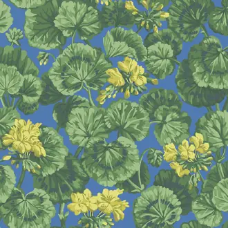 Geranium 117-11032