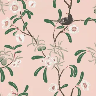 Antonia Pink 104-24