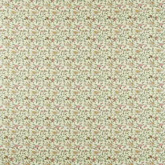 Hathi F1812-03