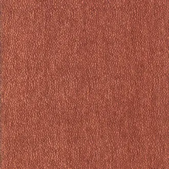 Chroma 92162313