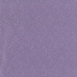 Antina MLF2220-04