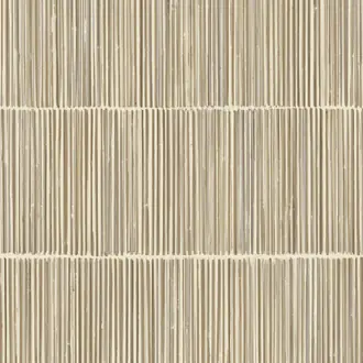 Terra 391513