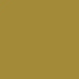 Tigers Eye Paint