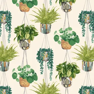 Houseplant GRA50111W