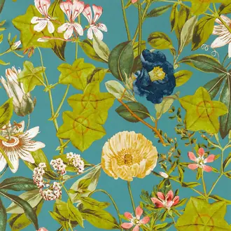 Passiflora W0143-01