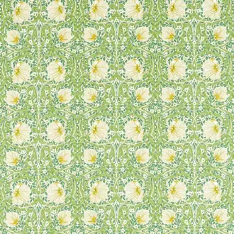 Pimpernel 226898
