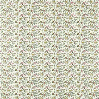 Hathi F1812-04