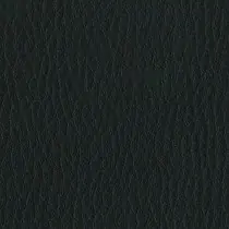 Capella CP01