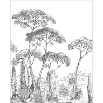 Forest of Pineas 107290905