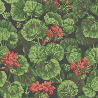 Geranium 117-11033