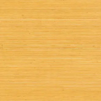 Coiba RM 110 20