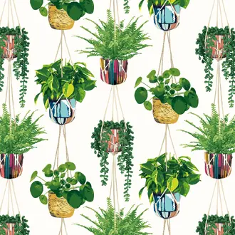 Houseplant GRA50112W