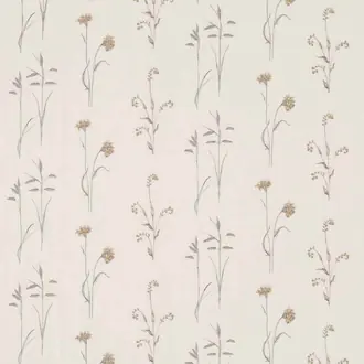 Meadow Grasses 235605