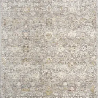 Antique Fusion ANF05 Grey Rug