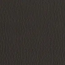 Capella CP02
