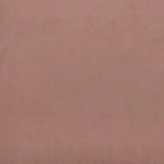 Cecconi Rose