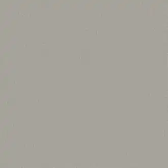 Dune 11064980