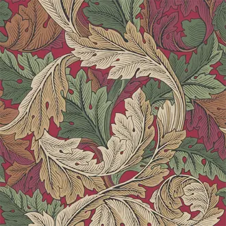 Acanthus 216439