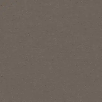 Rivo 1520-796