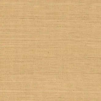 Abaca ABA16