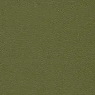 Capella 23