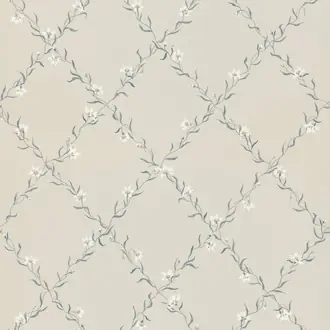 Ewa Grey 806-21