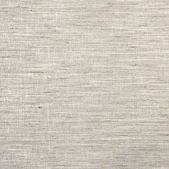 Palm Stone