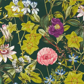 Passiflora W0143-02