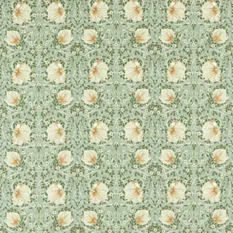 Pimpernel 226899