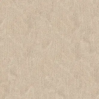 Mare 2103-06