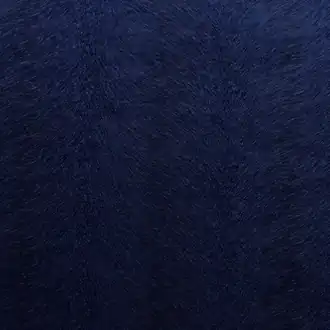 Allegra Navy