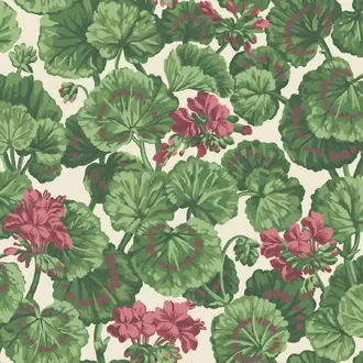 Geranium 117-11034
