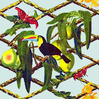 Tucan GDW-5453 001