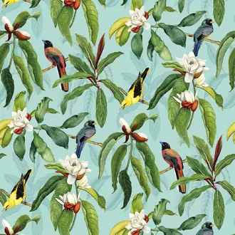 Michelia Outdoor F7662-02