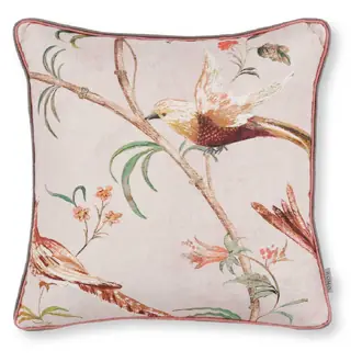 Pluma Blush