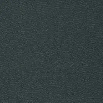Capella 26