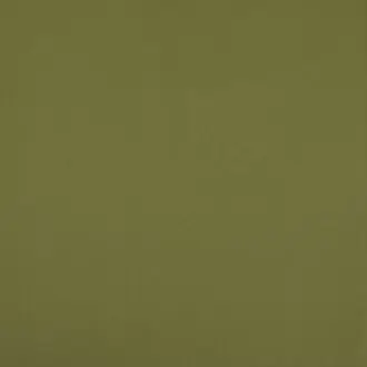 Silvertex Pistachio