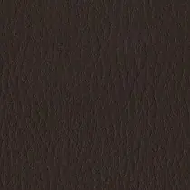 Capella CP03