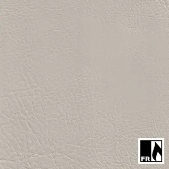 Stanford 11 Putty