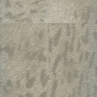 Panthere VP 653 01
