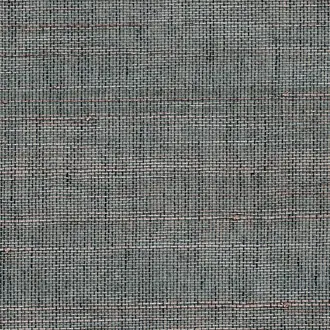 Horsehair Roan 3254
