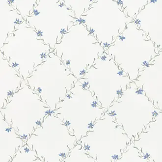 Ewa Blue 806-56
