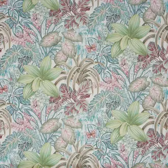 Canopy 2813-411