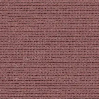 Linette 19618445