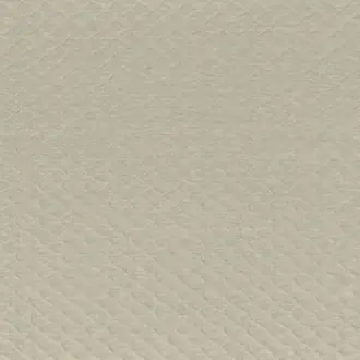 Espuma 49280464