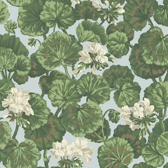 Geranium 117-11035