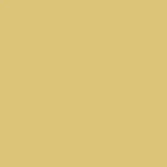 Vermeer Yellow Paint