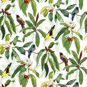 Michelia Outdoor F7662-03