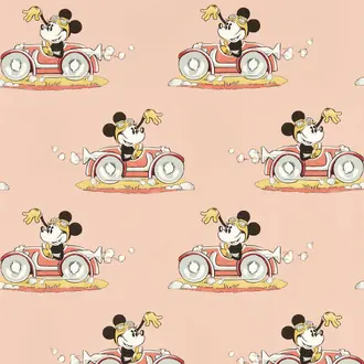 Minnie On The Move DDIW217268